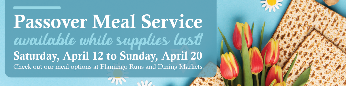 Passover Meal Service promotional image