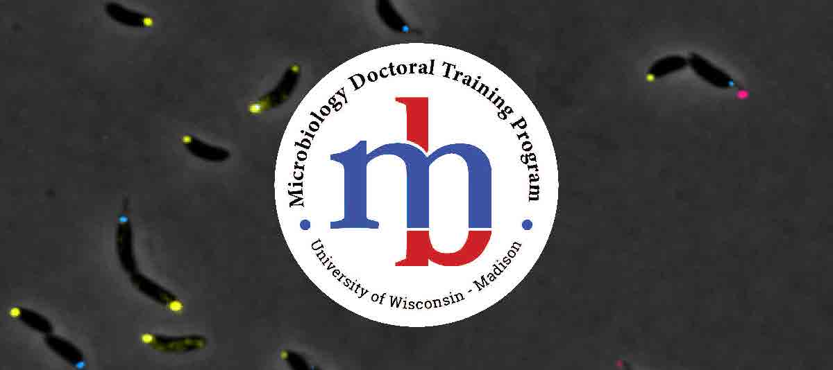 MDTP logo