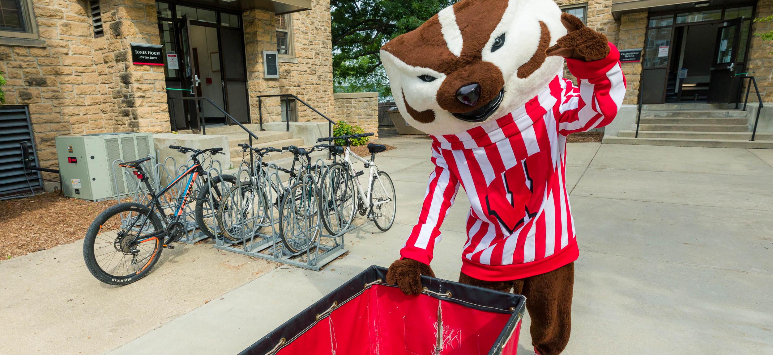 Bucky Badger helping with move-out