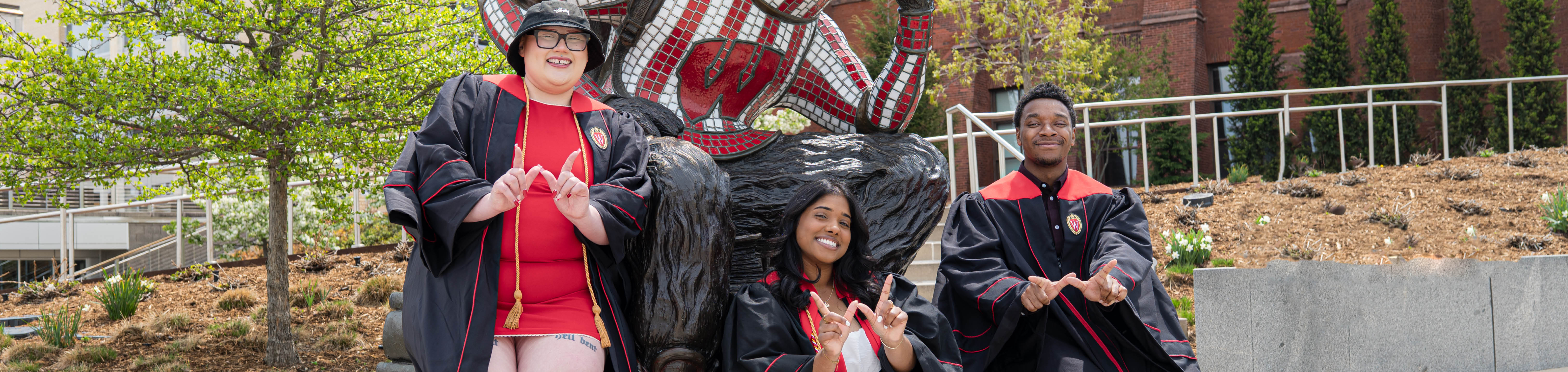 Badger Volunteer Interns