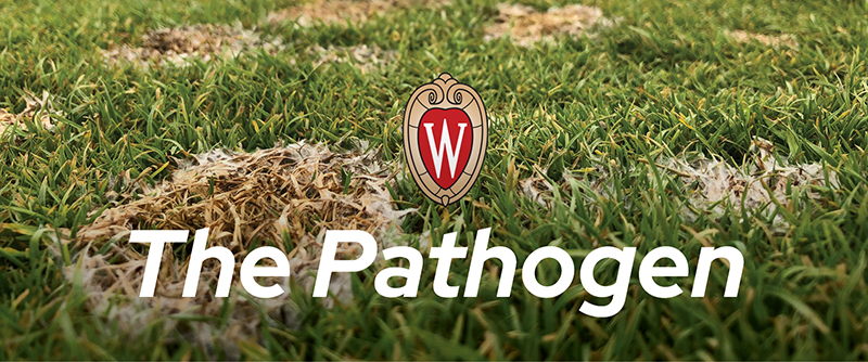 Turf grass shown with brown spots with a white ringed border. The W crest and "The Pathogen" elements are overlayed on the background image.
