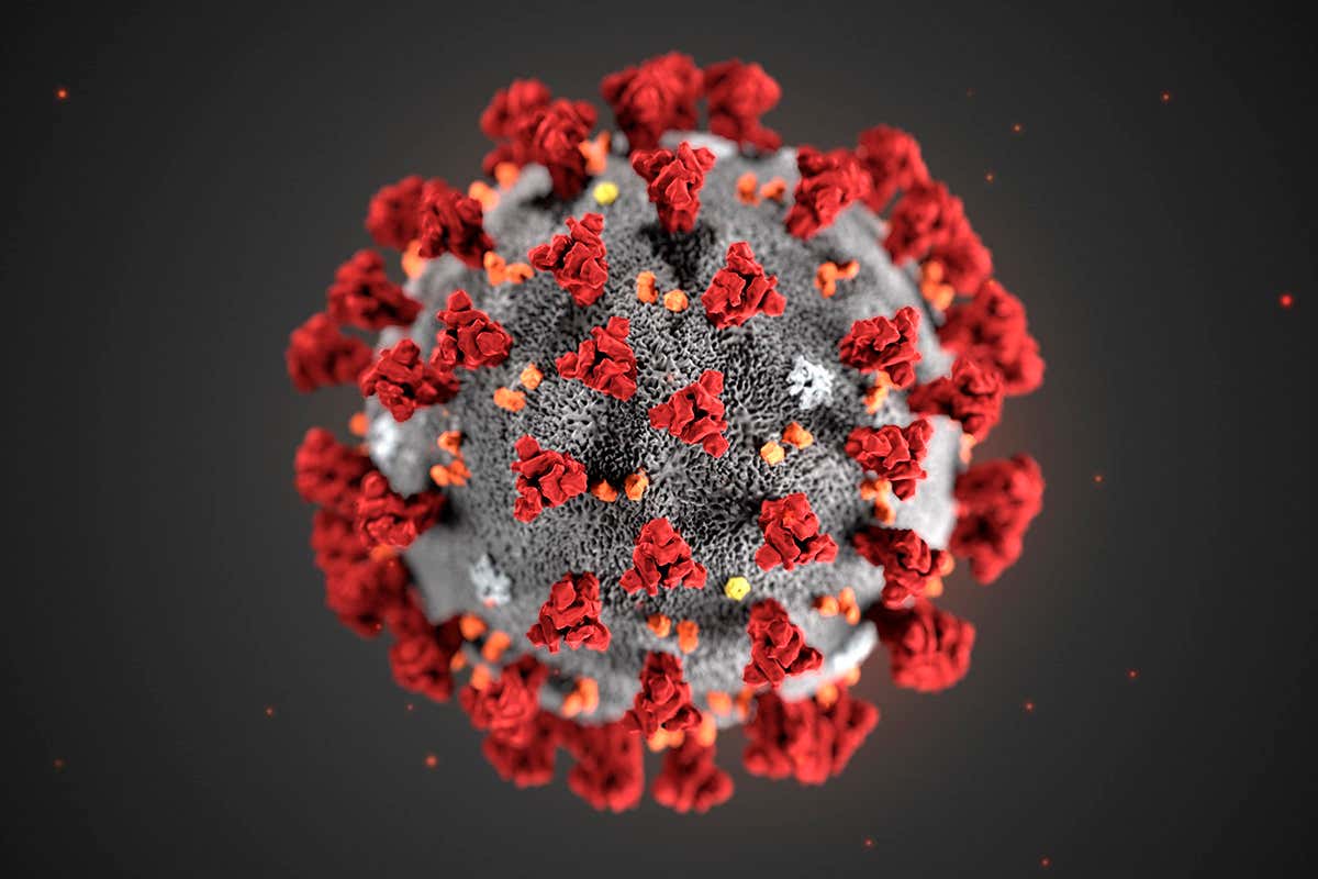 Artist's rendition of the COVID-19 virus.