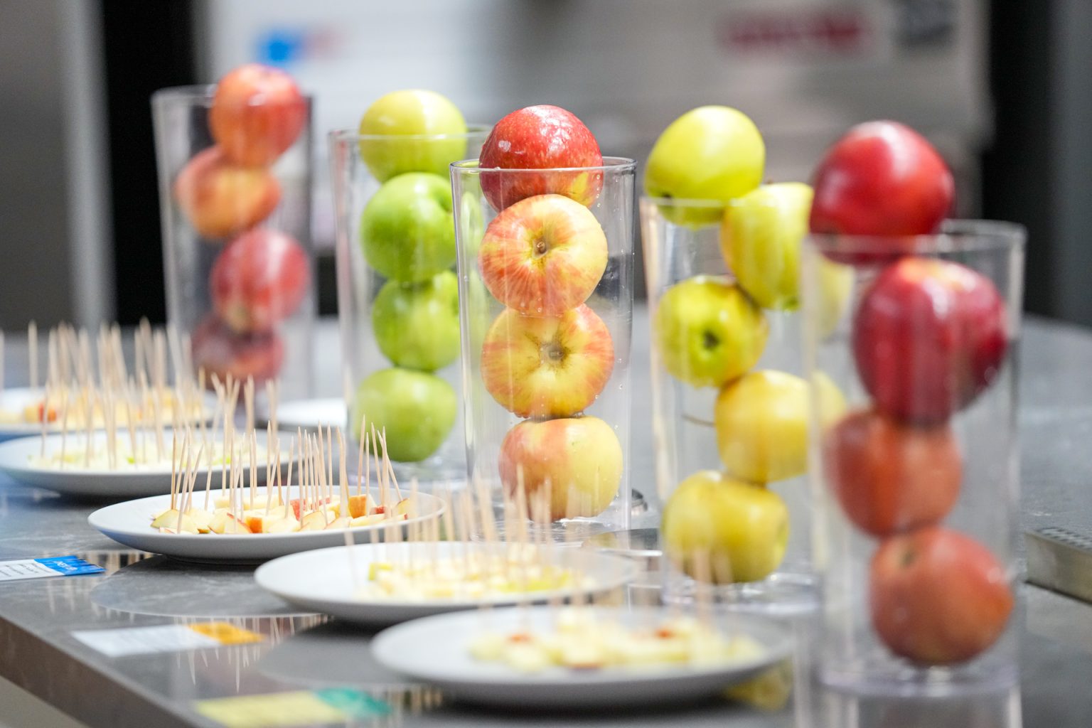 Colorful apples in glasses at the Bakke Wolf Teaching Kitchen