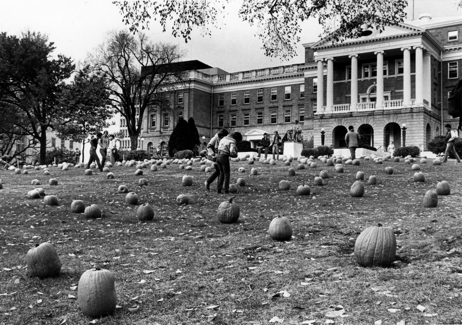 Students picking pumpkins on Bascom Hill, 1980s photo