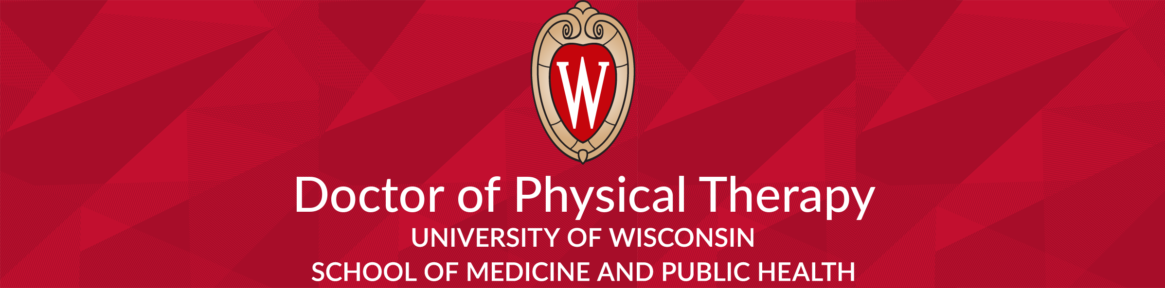 Doctor of Physical Therapy, University of Wisconsin, School of Medicine and Public Health