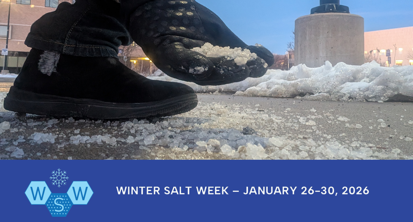 gloved hand holding excess salt spread on a sidewalk from a small dog's viewpoint