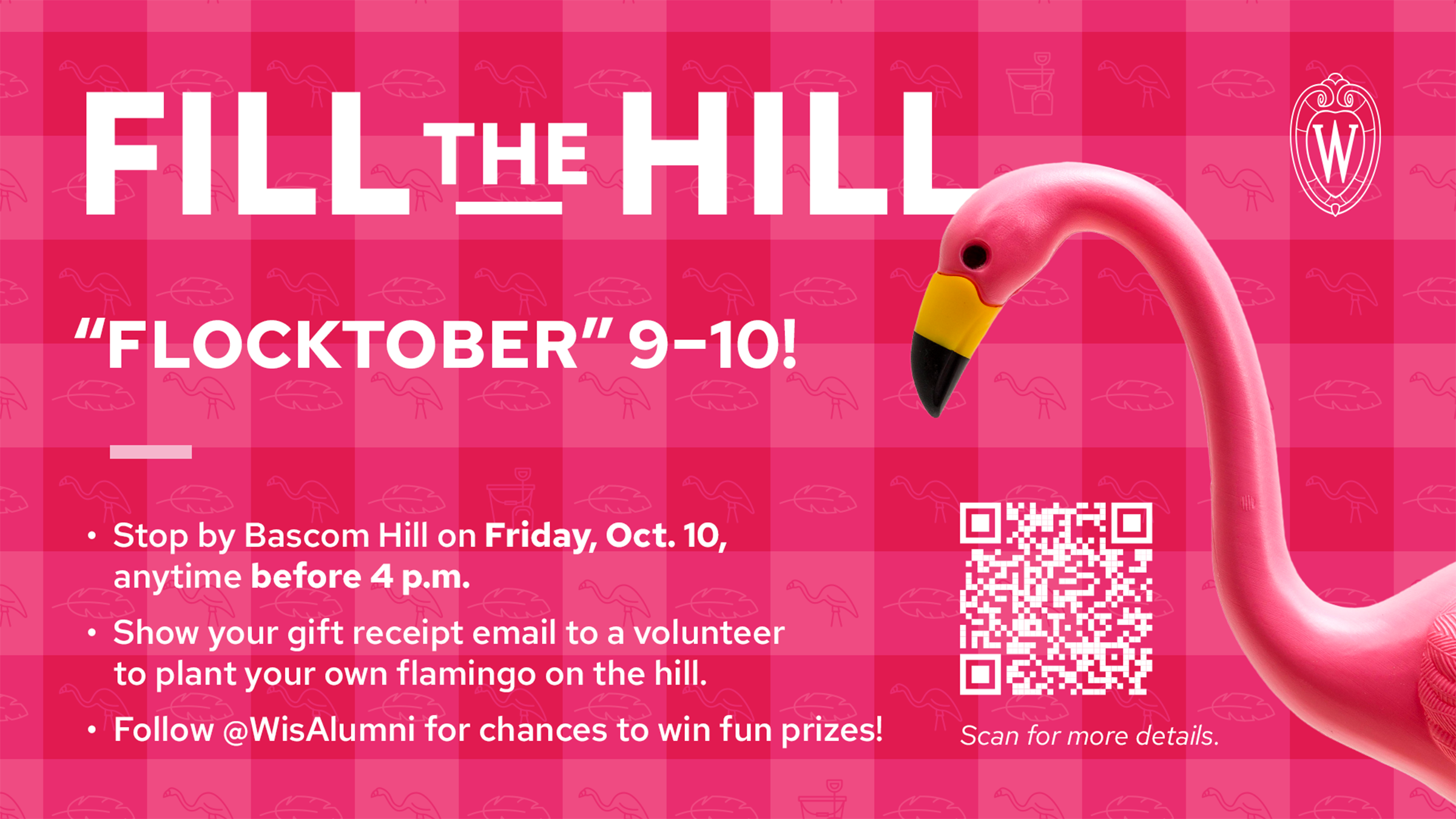 Fill the Hill promotional image